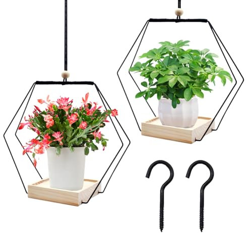 FOGARI 2 Stück Blumenampel Hängend Innen,Hängeampel Mit Holzsockel,Hängeampel Blumen,Hängetopf Für Pflanzen Für Zimmerpflanzen Sukkulenten Luftpflanzen Kaktus