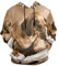 Sawhonn Doktor Hündchenbücher Kapuzenpullover Herren Pullover 3D Druck Hoodies Sweatshirt Kapuzenpulli Kapuzenjacke für Mädchen Jungen