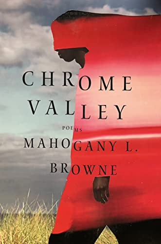Chrome Valley: Poems (English Edition)