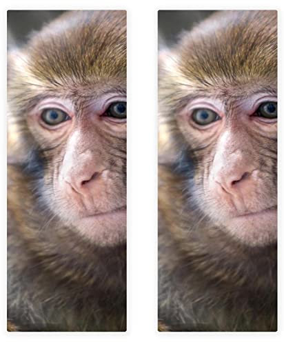 VBFOFBV Mikrofaser-Handtücher, 2er-Pack, Reise-, Sport- und Strandtuch, schnell trocknend, kompakt, geeignet für Camping, Rucksackreisen, Fitnessstudio, Strand, Yoga,Tierischer AFFE