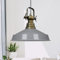 bamyum Asletl Hängelampe Industrial aus Metall Ø41 cm, Küchenlampe Vintage, Hängelampe Esstisch E27, Pendelleuchte Grau, Wohnzimmerlampe Hängend Vintage, Pendelleuchte Esstisch