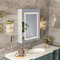 Mepplzian 600 * 750 Led Bathroom Mirror Cabinet,Bathroom Cabinets with Lights 3 Color,Wall Mounted Cabinets with Mirrors,Illuminated Mirror with Storage,Mirrored Cabinet with Defogger