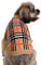 Puppy and Kitten Jumper, Knitted Plaid Sweater for Small Breed Tailored for Tiny Toy Poodle Teacup Breeds like Chihuahuas, Russian Toy Terriers, Yorkies, XXS