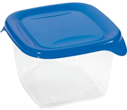 Curver 00560-139-01 Quadratische Frischhaltedose Fresh und Go, 1,2 L, transparent/blau