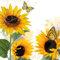 20 Serviette Sonnenblume Vintage Garten-Blume Herbst Sommer Schmetterling 33 x 33cm