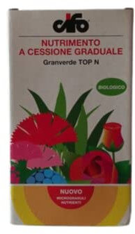 CIFO