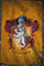 GB eye Poster Harry Potter - Hogwarts Gryffindor 61 x 91.5 cm | PostersDE