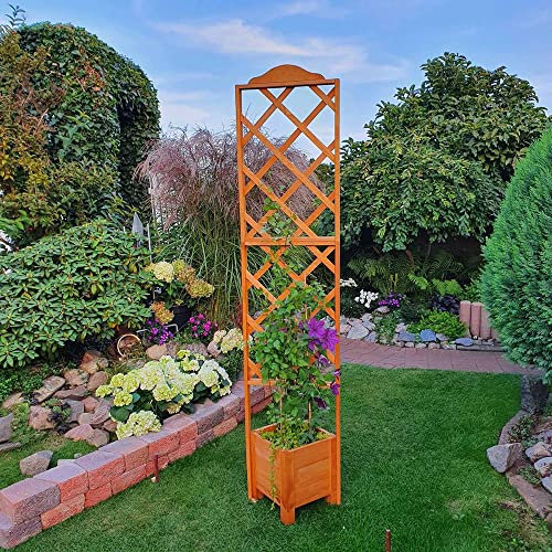 Promadino Eckelement Botanica 210 cm