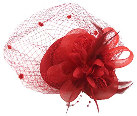 Bandeau de Plumes pour Femmes des années 50, Barrette en Maille pour Visage avec Plumes, Accessoires de Cheveux pour Cocktail, thé, Mascarade