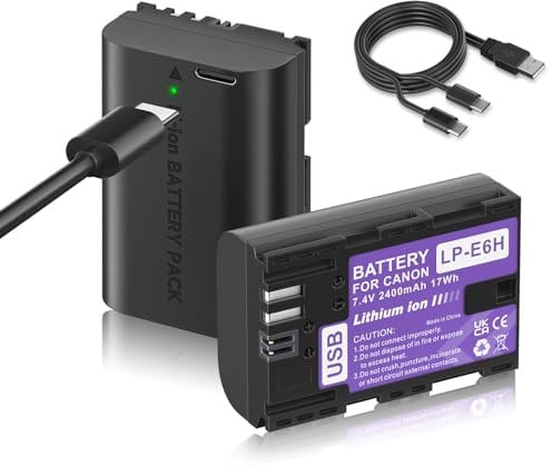 Mspalocell 2 Pack LP-E6 replacement batteries 2400 mAh with USB Type-C charging, compatible with Canon EOS 5D Mark II, EOS 5D Mark III, EOS 6D, EOS 5DS, EOS 7D, EOS 60D, EOS 60Da, EOS 70D, LP- E6N