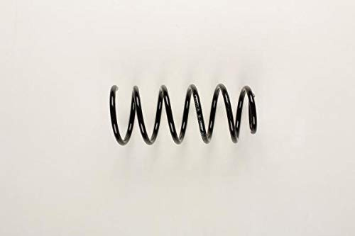 KYB RG6538, KYB Rear Coil Spring Replacement (Single Unit) RG6538
