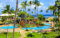 GUOHLOZ Puzzle Adulte 1500 Pièces Abstrait Puzzle Classique Kit Bricolage en Bois Cadeau Unique Décor À La Maison, Tropiques, Piscine, 87x57cm