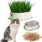 JXJZGDM Semi di Erba gatta, Erba gatta con Scatola for Erba gatta, Erba di Grano for Gatti, Erba gatta idroponica Senza Terra, Semi di Erba gatta for Gatti da Interno(Pink)