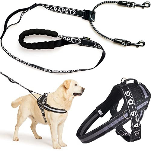 ACARAPETS Hundegeschirr und Leine, 3 Ringe, gepolstert und atmungsaktiv, mit elastischer Bifida-Leine, reflektierend, verstellbar, zum Gehen und Laufen (Schwarz, L mit Leine)