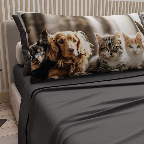 PETTI Artigiani Italiani - Bettwäsche Tiere mit Katzen und Hunden aus Baumwolle mit Kissenbezügen im Digitaldruck, Bettwäsche für Einzelbett, dunkelgrau, 100% Made in Italy