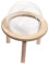 Bac à sable transparent pour hamster, lapin, animaux domestiques, souris, 15 cm