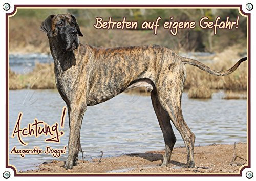 Petsigns Hundeschild Deutsche Dogge - Warnschild aus Metall - wetterfest, DIN A4