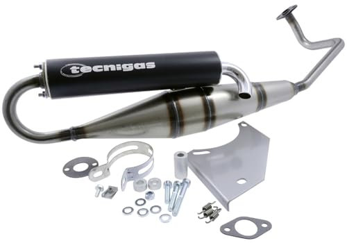 Auspuff TECNIGAS Next-R REX RS450 Typ: QM50QT-6(A) (Qingqi)