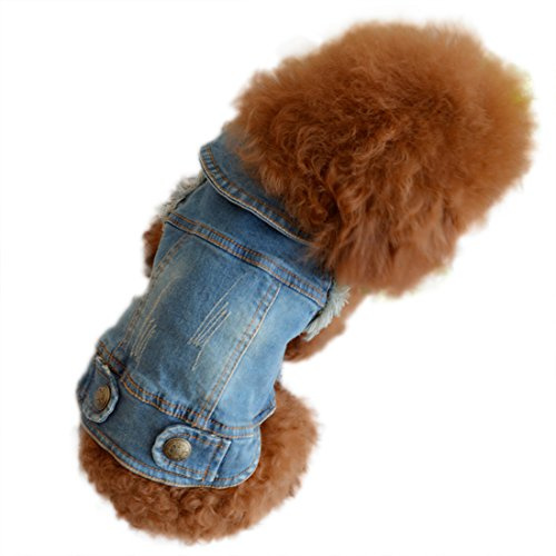 Retro Jeans Jacke für Kleine Hunde Bekleidung Frühling Herbst Dog Vest Hundekostüm Hundemantel Haustier Coat für Welpen Chihuahua Poodle Bichon Frise (S)