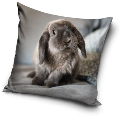 Hasen Kaninchen Baby Motiv Kissenhülle Kissenbezug 40x40 cm (PNL235048)