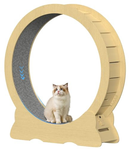 Katzenlaufrad, Laufrad für Katzen, 120cm Innendurchmesser Laufrad Katze, Super Leises Haustier Katze Laufrad Spielzeug, Holzlaufrad Laufrad Wheel Innen für Kleines Mittel Großes Katze (Holzfarbe, XXL)