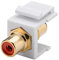 Goobay 79669 Module Keystone Cinch/RCA, Rouge