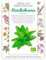 Semillas Medicinales - Hierbabuena - Semillas listas para plantar.
