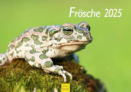 Edition Seidel Premium Kalender Frösche 2025 Format DIN A3 Wandkalender Tierkalender Tiere Frosch Kröte Amphibien