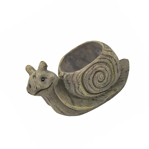 Limtula Macetero Suculento De Animales Dibujos Animados Tortugas/Caracoles/erizos Soporte para Plantas Contenedor Cactus Resina para Decoración del Hogar Y La Oficina Macetero Pintado A Mano