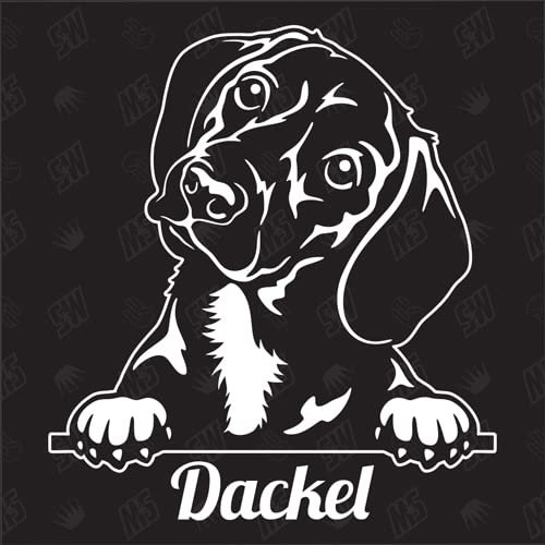 Dackel Dachshund Version 4 - Sticker, Aufkleber, Hundeaufkleber, Autoaufkleber, Hund, Auto, Hunderassen, Mischling, Mix, Tiere, Haustier (AUCH MIT Wunschname MÖGLICH)