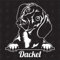 Dackel Dachshund Version 4 - Sticker, Aufkleber, Hundeaufkleber, Autoaufkleber, Hund, Auto, Hunderassen, Mischling, Mix, Tiere, Haustier (AUCH MIT Wunschname MÖGLICH)