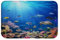 goodbath Badematte aus Memory-Schaum, rutschfest, Unterwasser-Ozeanwelt, super saugfähig, 60 x 40 cm, Blau