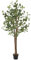 ML-Design Eucalipto Artificial 180cm Decorativo, Planta Grande Falsa Tronco de Madera Natural Hojas y Maceta de Plástico, Interior y Exterior, Árbol Ornamental Realista para Salón Oficina o Recepción
