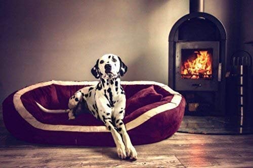tierlando® Pepper Orthopädisches Hundebett Hundesofa VISCO XL Velours Mega Dick & Weich Bordeaux Rot 110cm L Velours MEGA DICK & WEICH