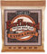 Ernie Ball Earthwood Extra Light - Cuerdas para guitarra acústica, bronce fosforado, calibre 10-50