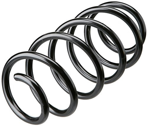 Triscan 875029212 Fahrwerksfeder