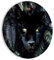 murando - runde Bilder schwarzer Panther 80x80 cm Leinwandbild 1 tlg Kunstdruck modern Wandbilder XXL Wanddekoration Design Wand Bild Abstrakt Tiere Farn Blumen Porträt g-C-10014-bc-a