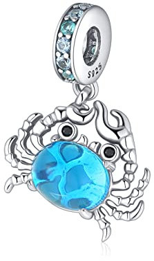Jokmeo 925 Sterlingsilber Damen Charm Anhängerperlen, kompatibel mit Pandora sowie europäischen Armbändern und Halsketten. Passend für Frauen und Mädchen.