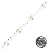 EVN COB LED-Stripe 5m 3000K C2024320159902