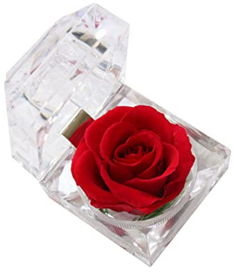 Rosa Rossa Stabilizzata Romantico Per Anniversario Compleanno Decorazione Per La Casa