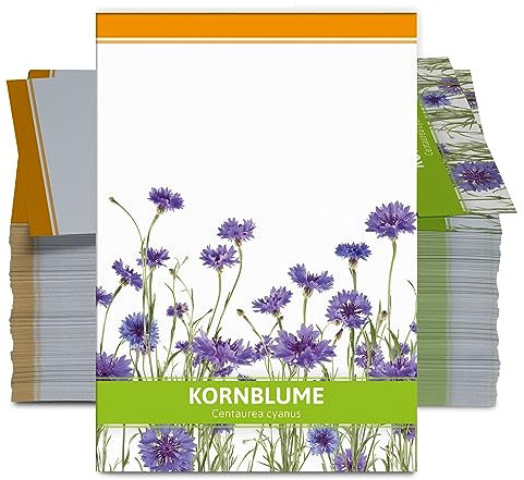 FLORTUS Kornblumen Samen für Gastgeschenke (100 Stück) | Blumensamen als Dankeschön Geschenke, Mitgebsel & Werbegeschenke | Wildblumensamen