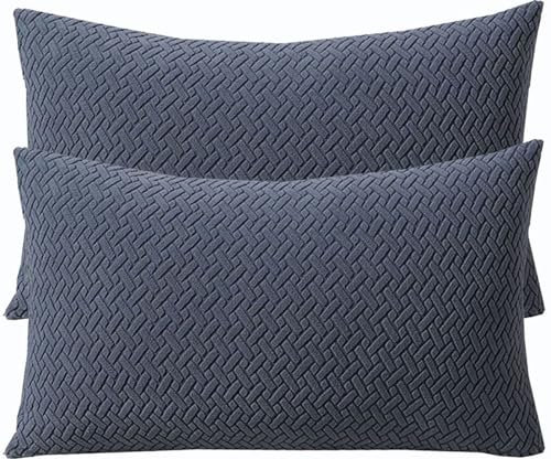 2er Set Kissenbezüge 40x80,40x60 Kissenbezug Dekorative Kissenhülle Kuschelkissenbezuge Kord Sofakissen Bezug 50x70 Couchkissen Cover Mit Reißverschluss Für Sofa(Dark Gray,40x70 cm Set of 2)