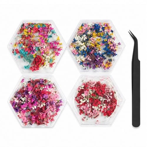 4 Packs 3D Dried Flowers Nail Art Charms, Nail Stickers and Resin Decorations, Creative Nail Accessories for DIY Manicure, Complete Set with Tweezers for Women and Girls
