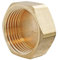 SOMATHERM FOR YOU, Bouchon Femelle 1 en laiton brut - Type 300 - Étanchéité optimale pour canalisation - Résistant à la corrosion - Idéal pour eau chaude et froide - Longue durée