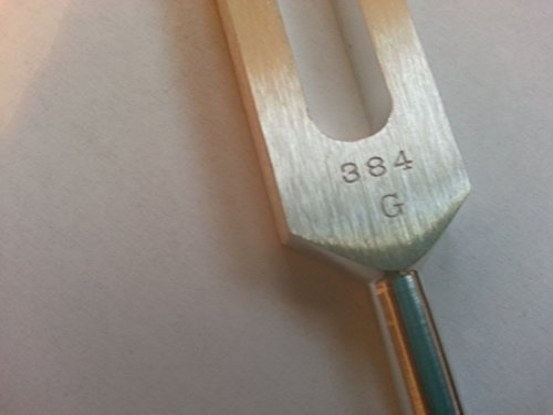 SWB 256 Tuning Forks SWB-6810