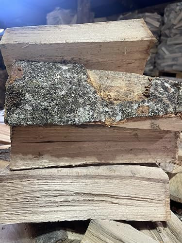 Buche-Brennholz Palette - ca. 450kg Premium Feuerholz aus dem Schwarzwald für eine langanhaltende Wärme - ofenfertig Scheitlänge ca. 50 cm