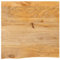 vidaXL Tischplatte, Holzplatte mit Baumkante, Massivholzplatte für Esstisch Couchtisch, Ersatztischplatte, 60x60x2,5cm Massivholz Mango