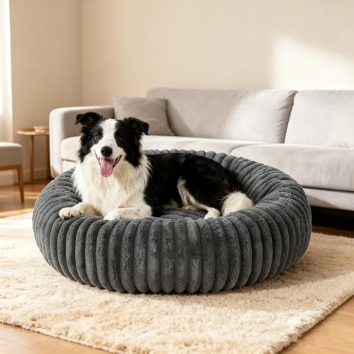 SHJOEE Flauschig Haustierbett Waschbar Hundebett Katzenbett Rund Donut Hundekorb Indoor Katzenkissen Katzenkorb Plüsch Welpenbett Schlafplatz für Katzen Kleine Mittelgroße Hunde