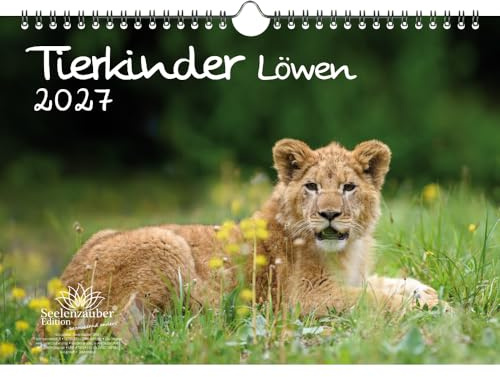 Tierkinder Löwen DIN A4 Kalender für 2027 Löwenbabys - Seelenzauber