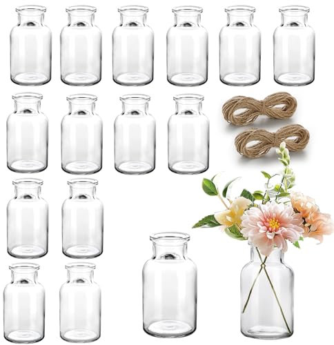 Otauoaea 15 Mini Jarrones, Jarrones Pequeños de Cristal Jarrones para Decoración de Mesa de Boda - Floreros Decorativos Modernos Botellas de Cristal para Decoración del Hogar y Salón